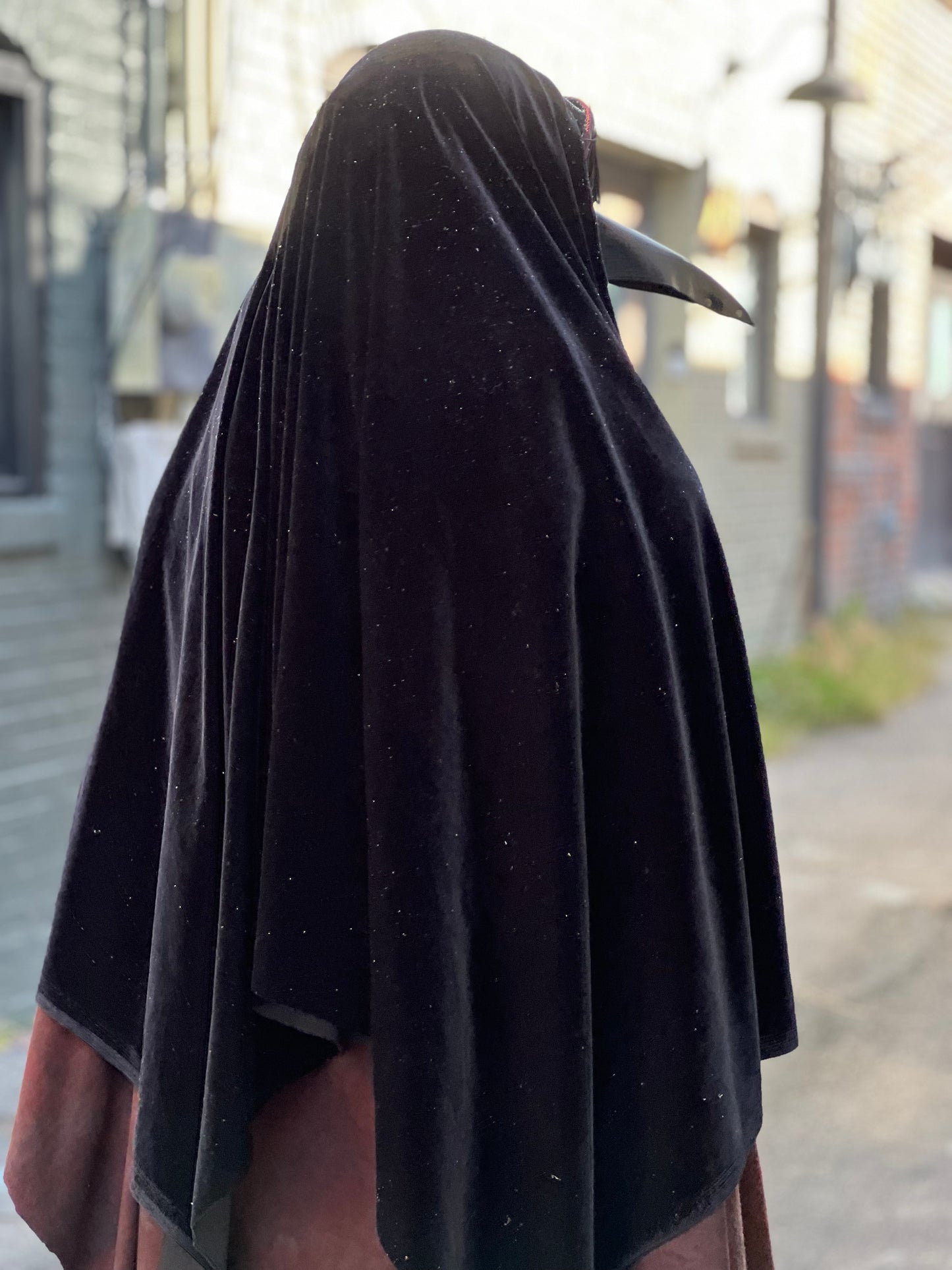 Plague Doctors Mask & Shroud