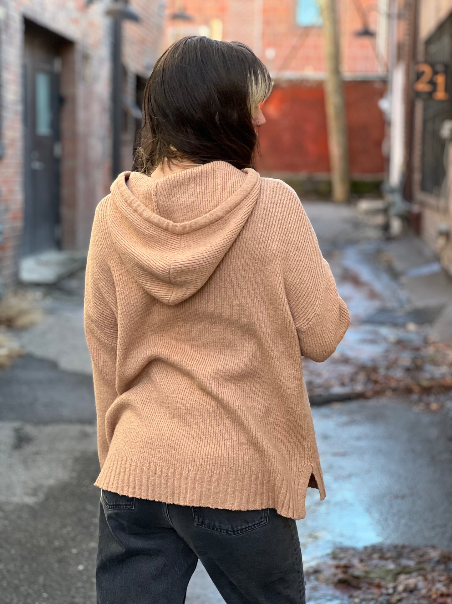 Beige Pegasus Sweater