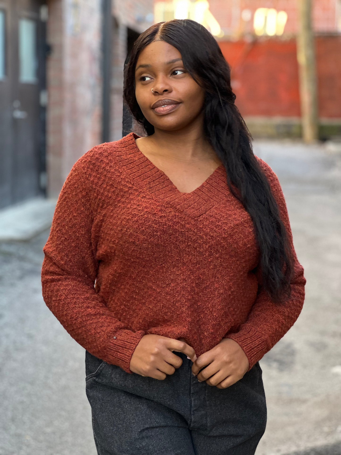 Garnet V-Neck Crop Sweater