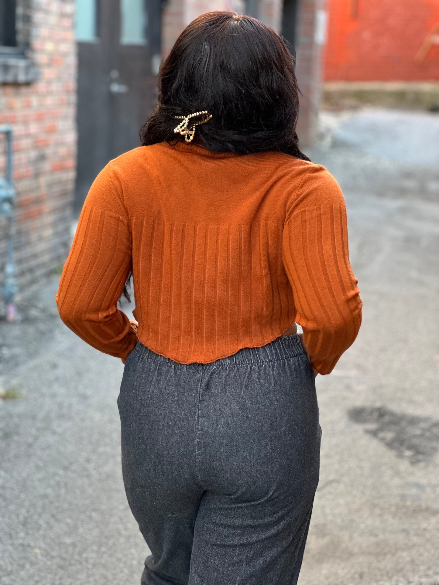 Blood Orange Turtle Neck Crop Sweater