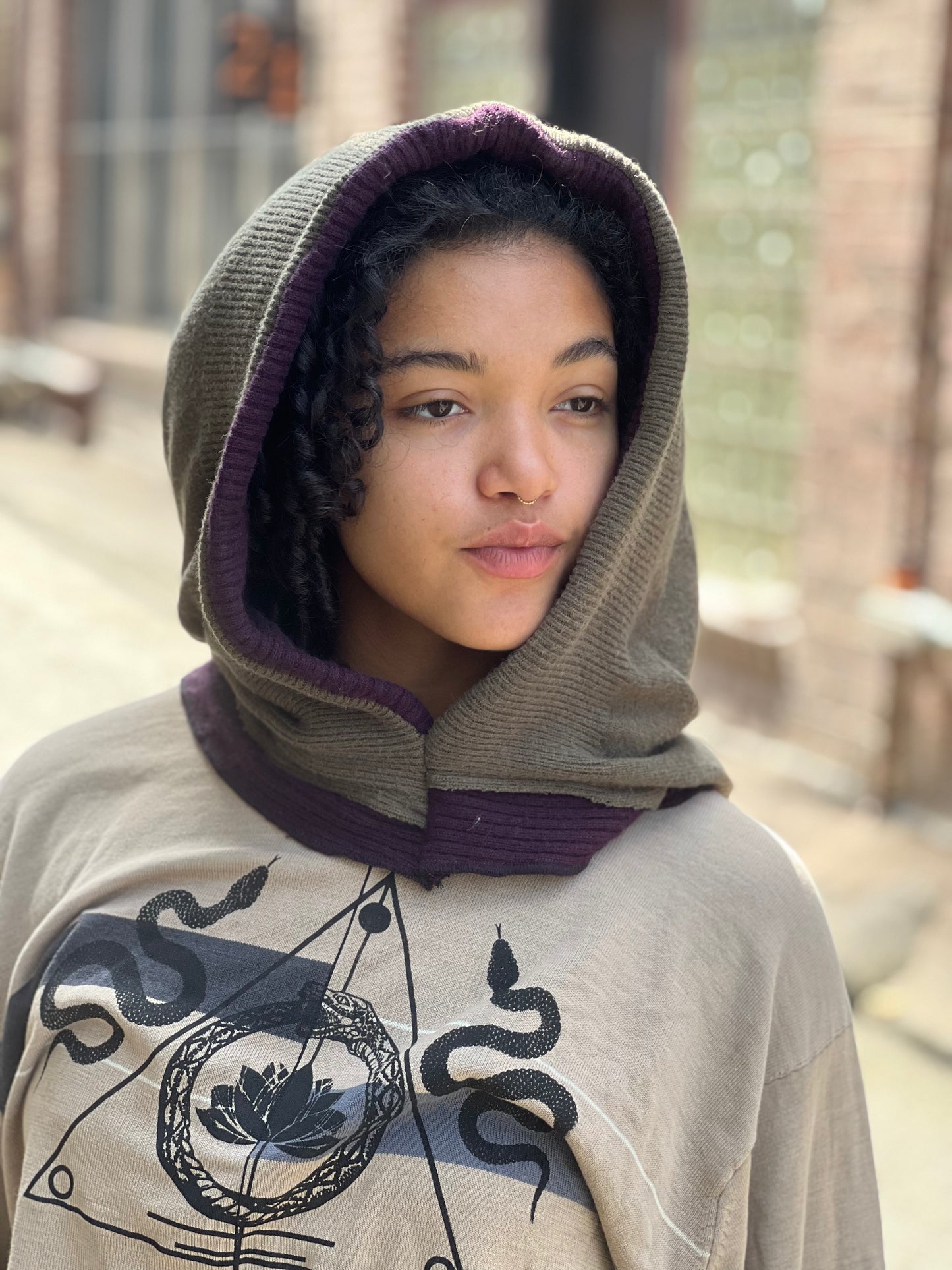 Plum & Olive Reversible Sweater Hood