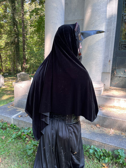 'The Raven" Plague Doctor Shroud Costume Mask