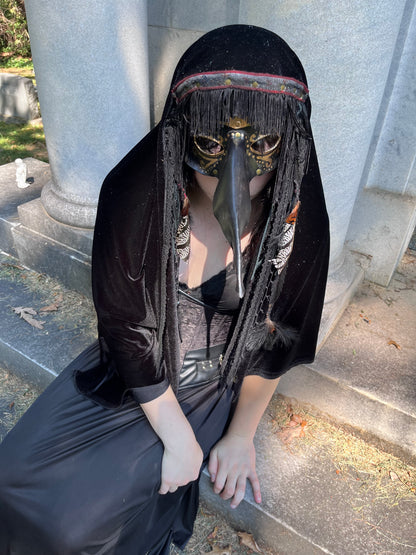 'The Raven" Plague Doctor Shroud Costume Mask