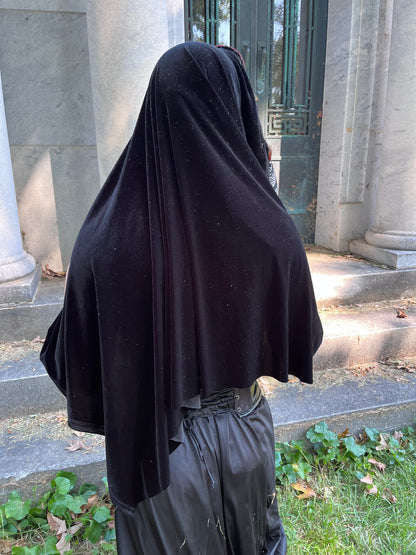 'The Raven" Plague Doctor Shroud Costume Mask