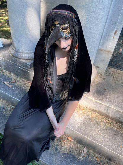'The Raven" Plague Doctor Shroud Costume Mask