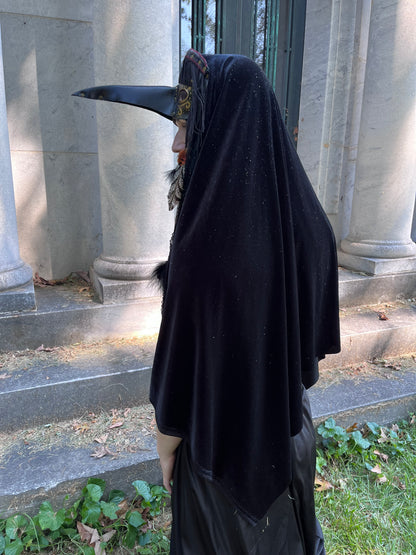 'The Raven" Plague Doctor Shroud Costume Mask