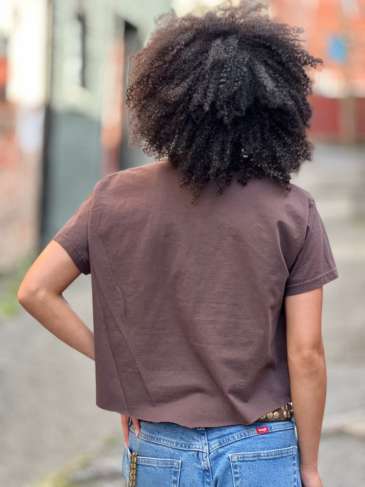 Brown "Protection of the Transforming" Cropped T-Shirt