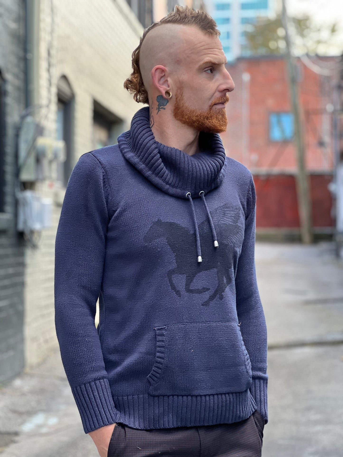 Indigo Pegasus Cowl Sweater