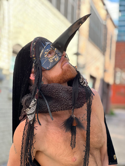 Plague Doctors Mask & Shroud