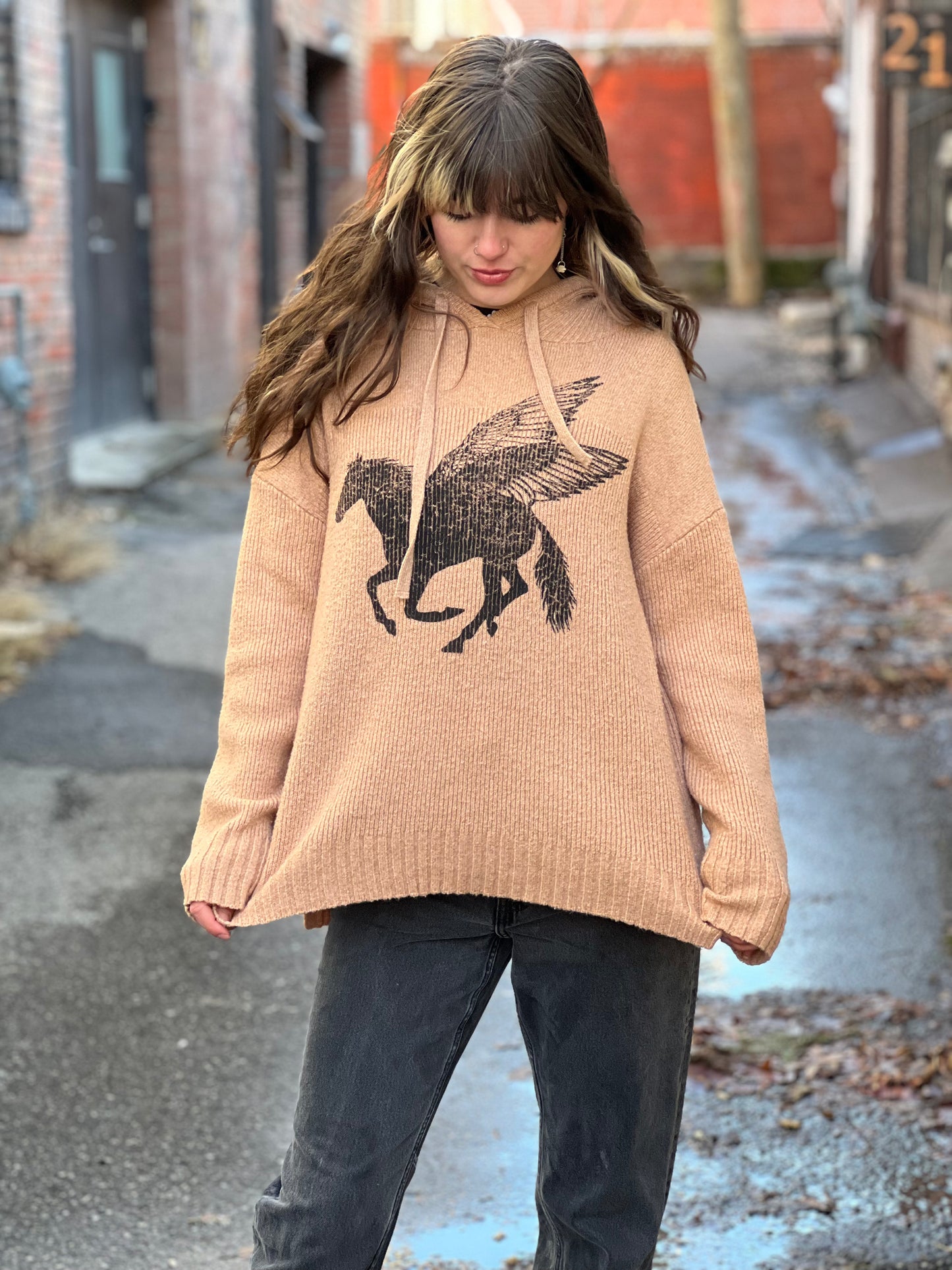 Beige Pegasus Sweater
