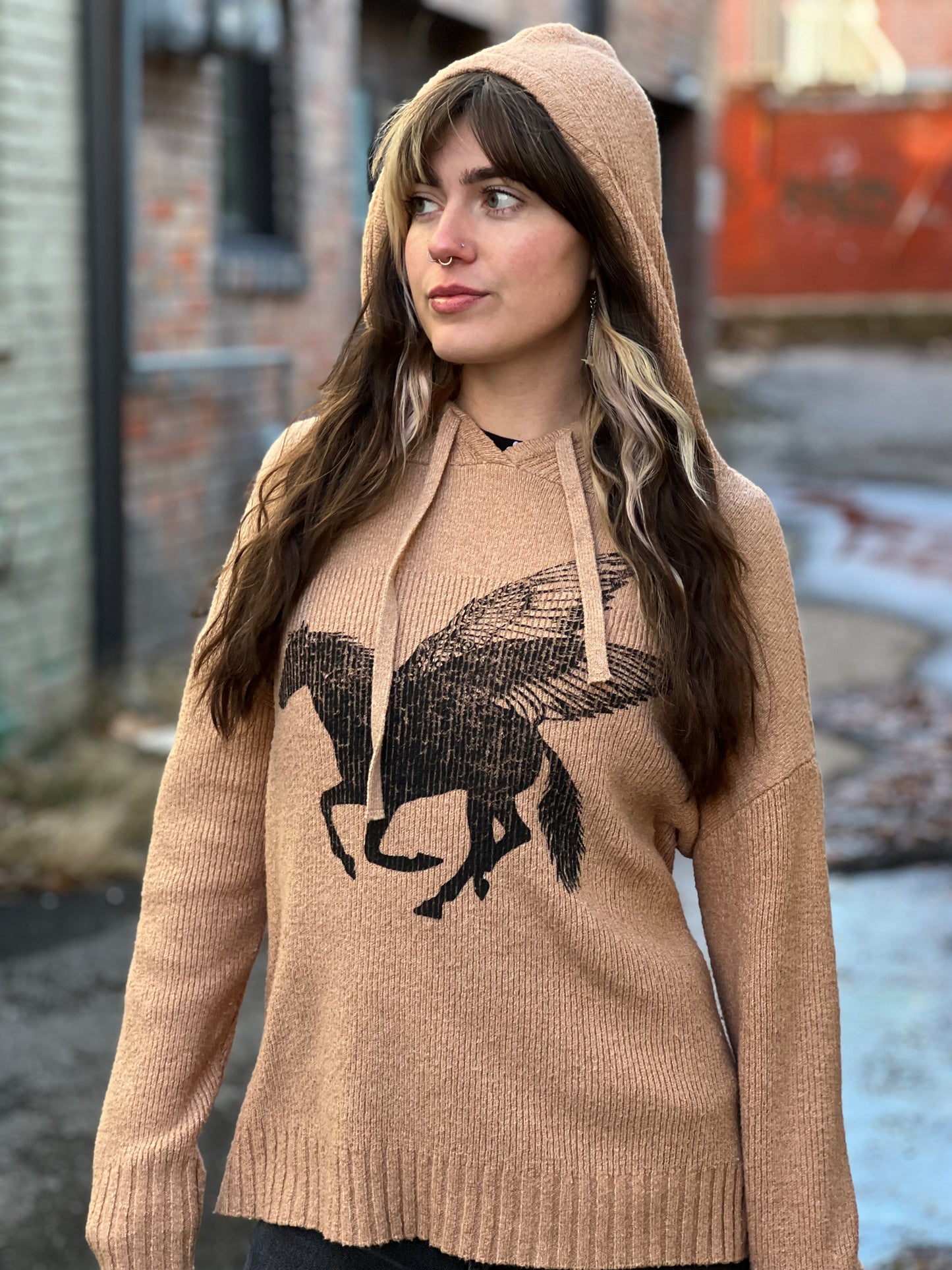 Beige Pegasus Sweater