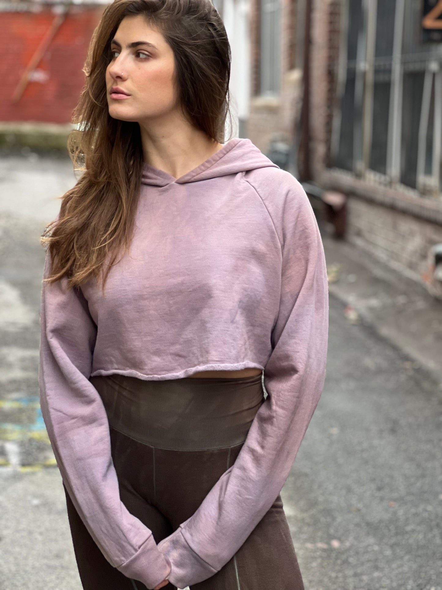 Lavender Bunny Ear Crop Hoodie