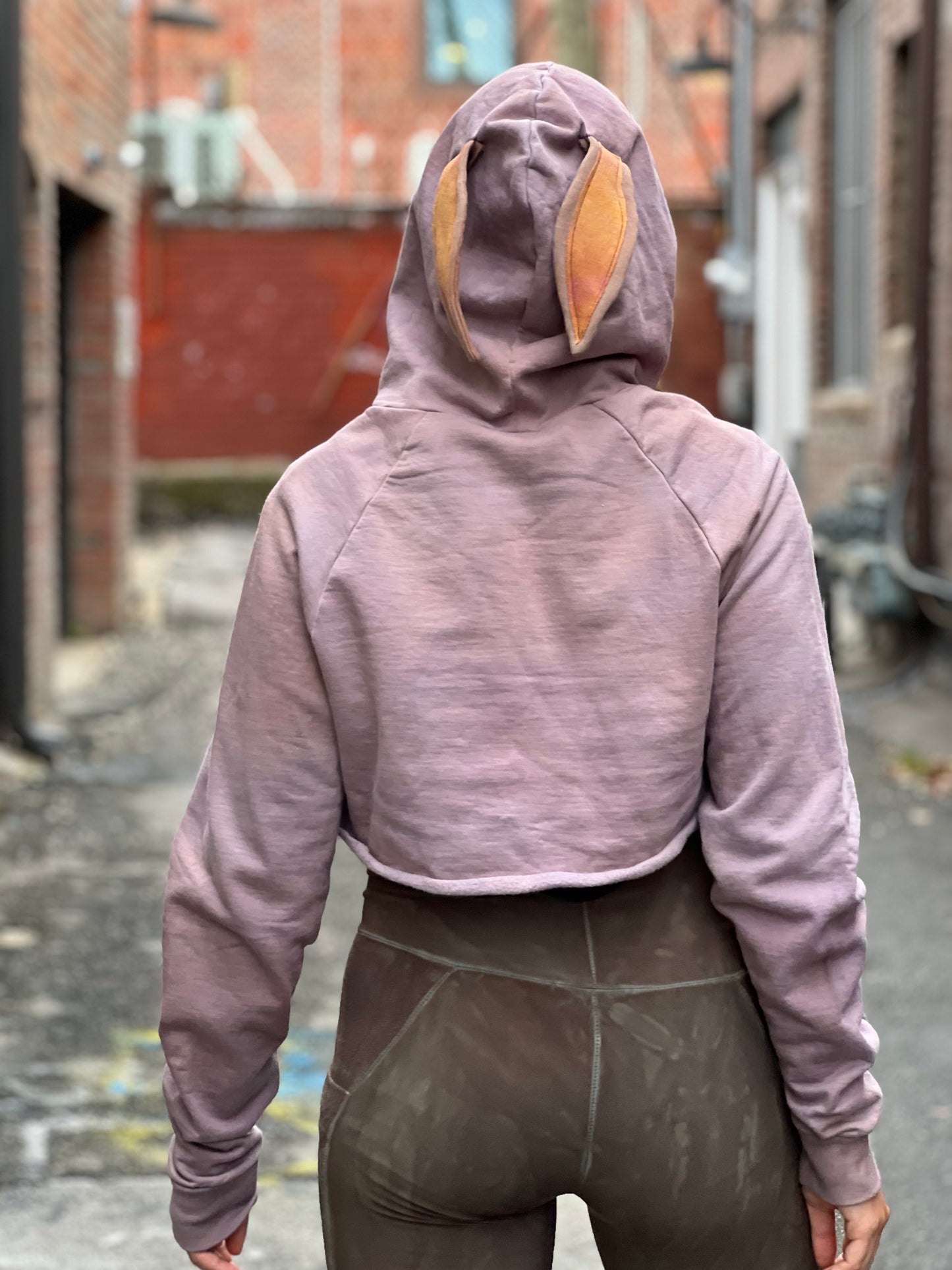 Lavender Bunny Ear Crop Hoodie