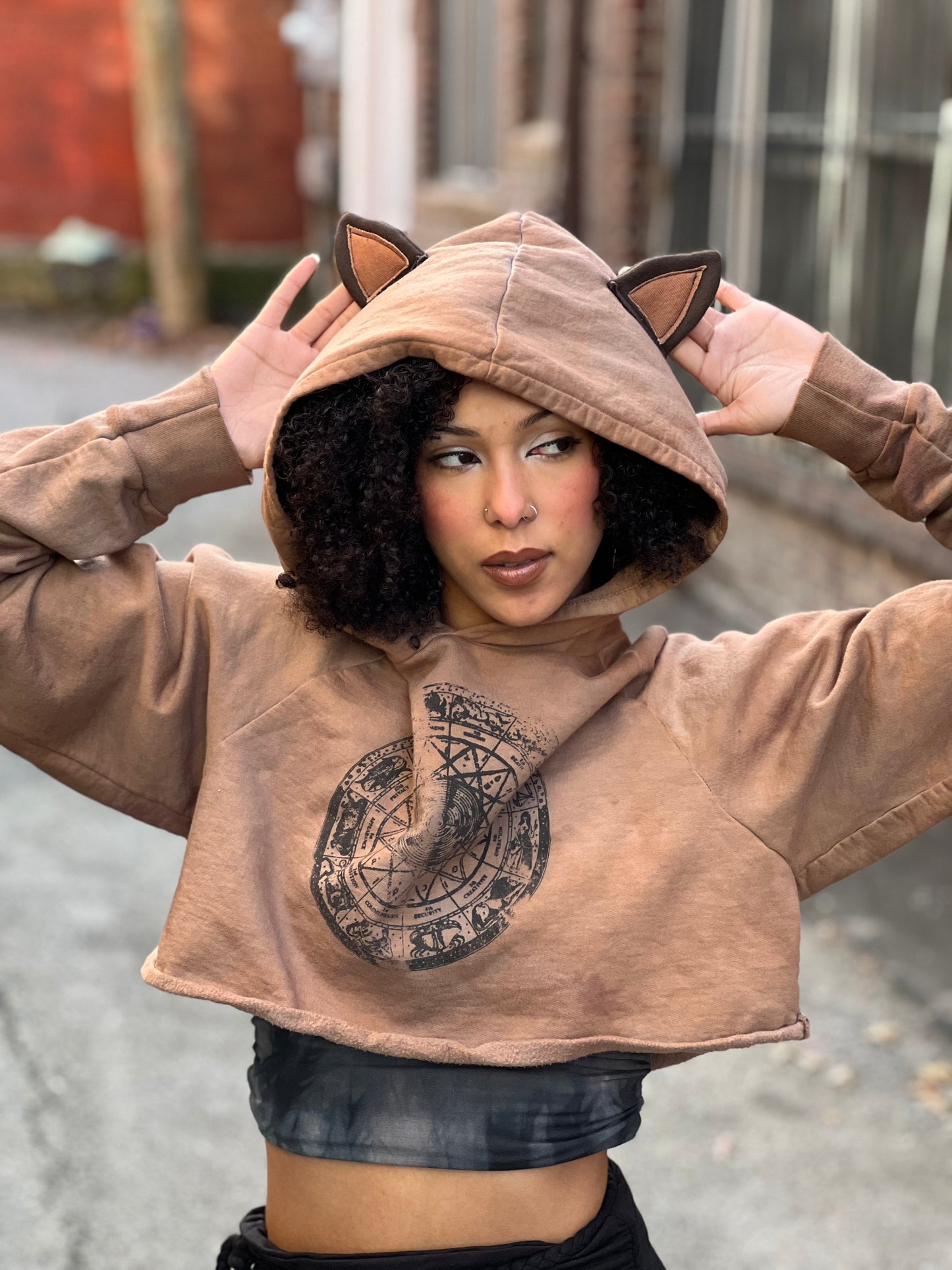 Kitty Ear Zodiac Crop Hoodie