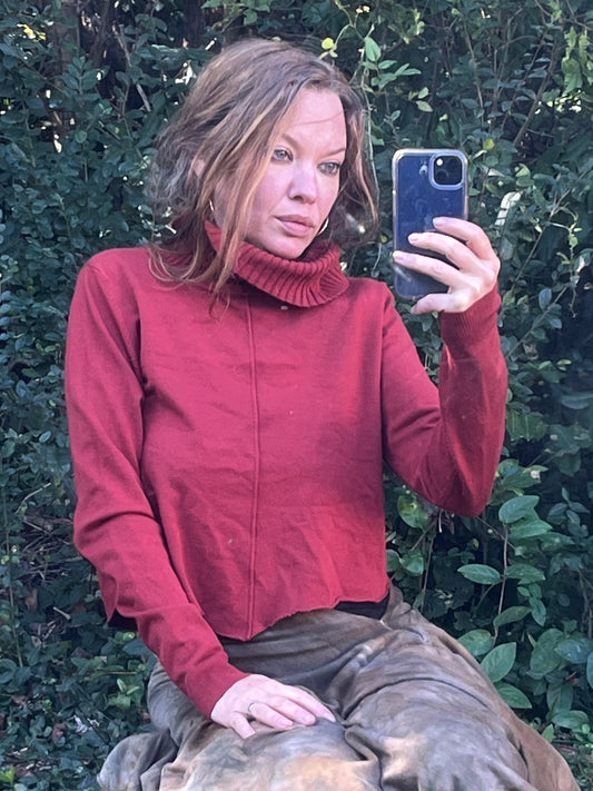 Brick Orange Cropped Pegasus Sweater