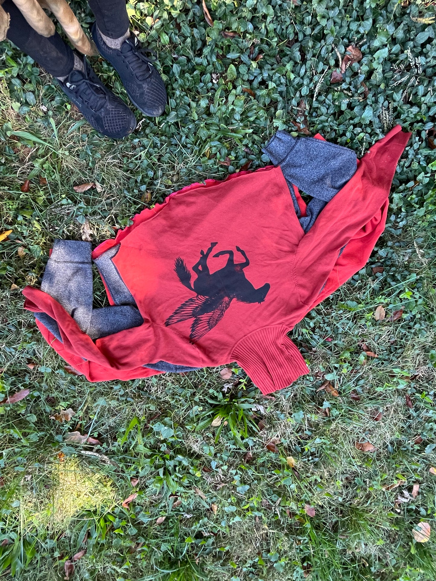 Brick Orange Cropped Pegasus Sweater