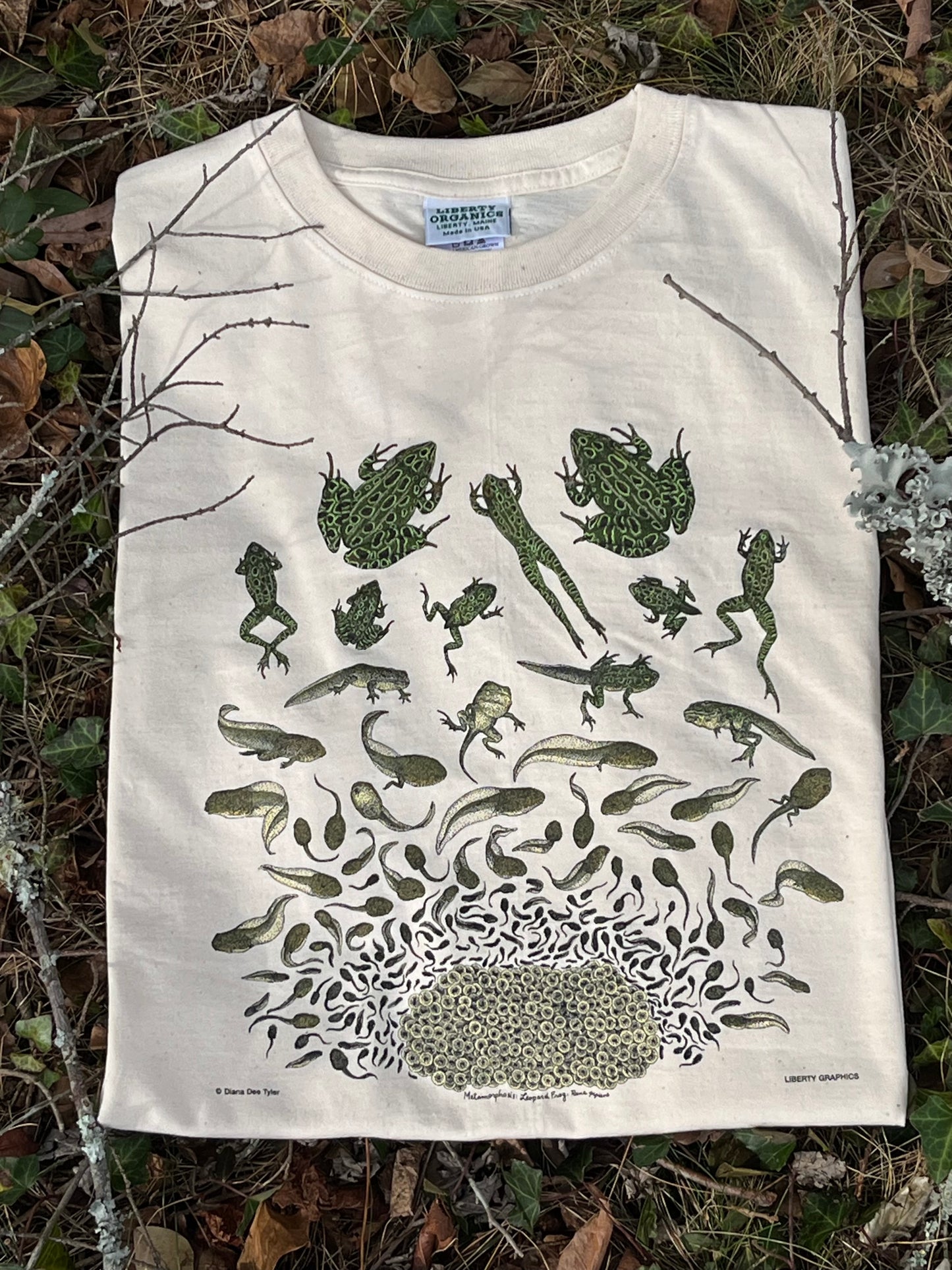LO - Frog Metamorphosis Print Shirt