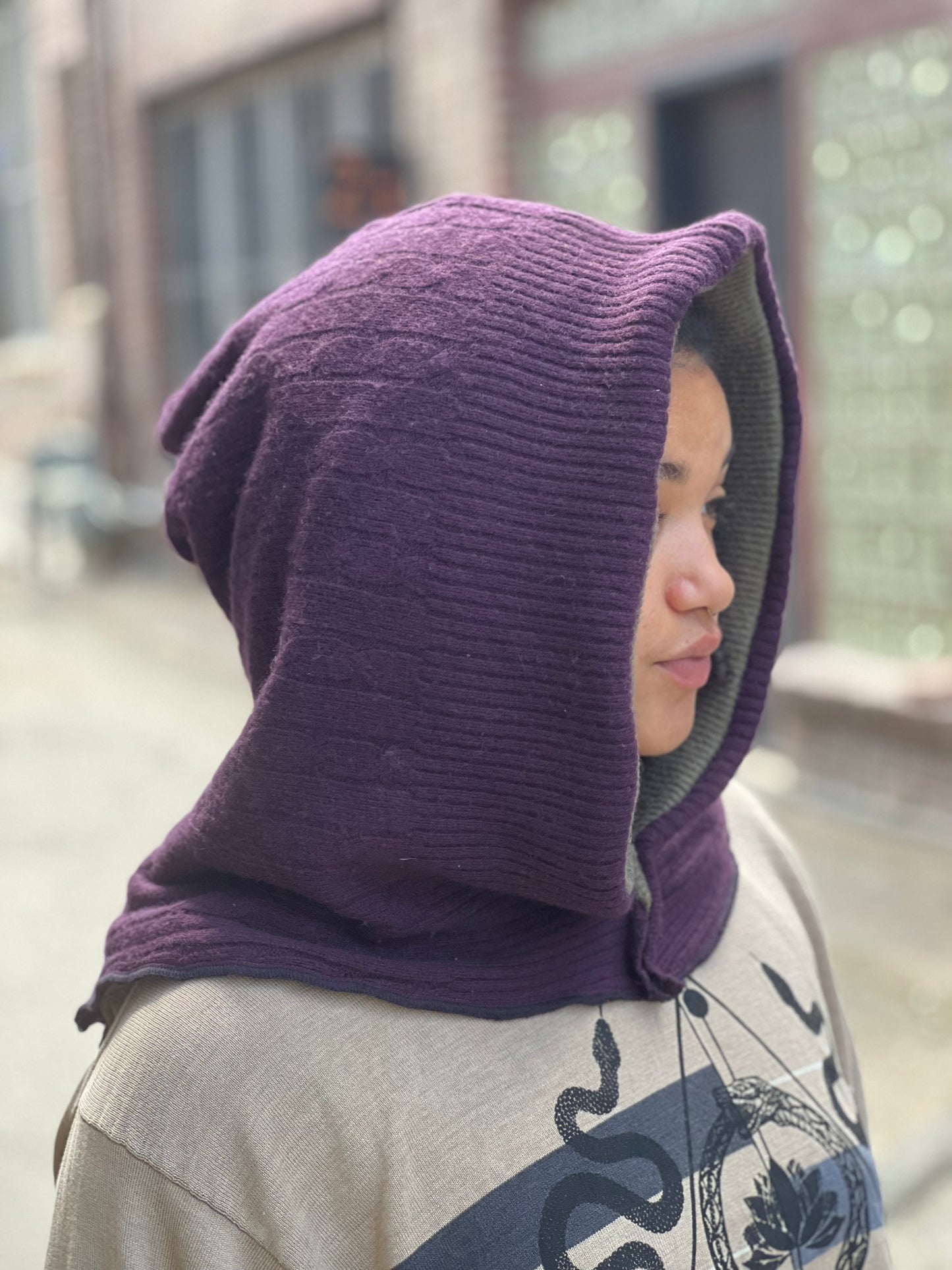 Plum & Olive Reversible Sweater Hood